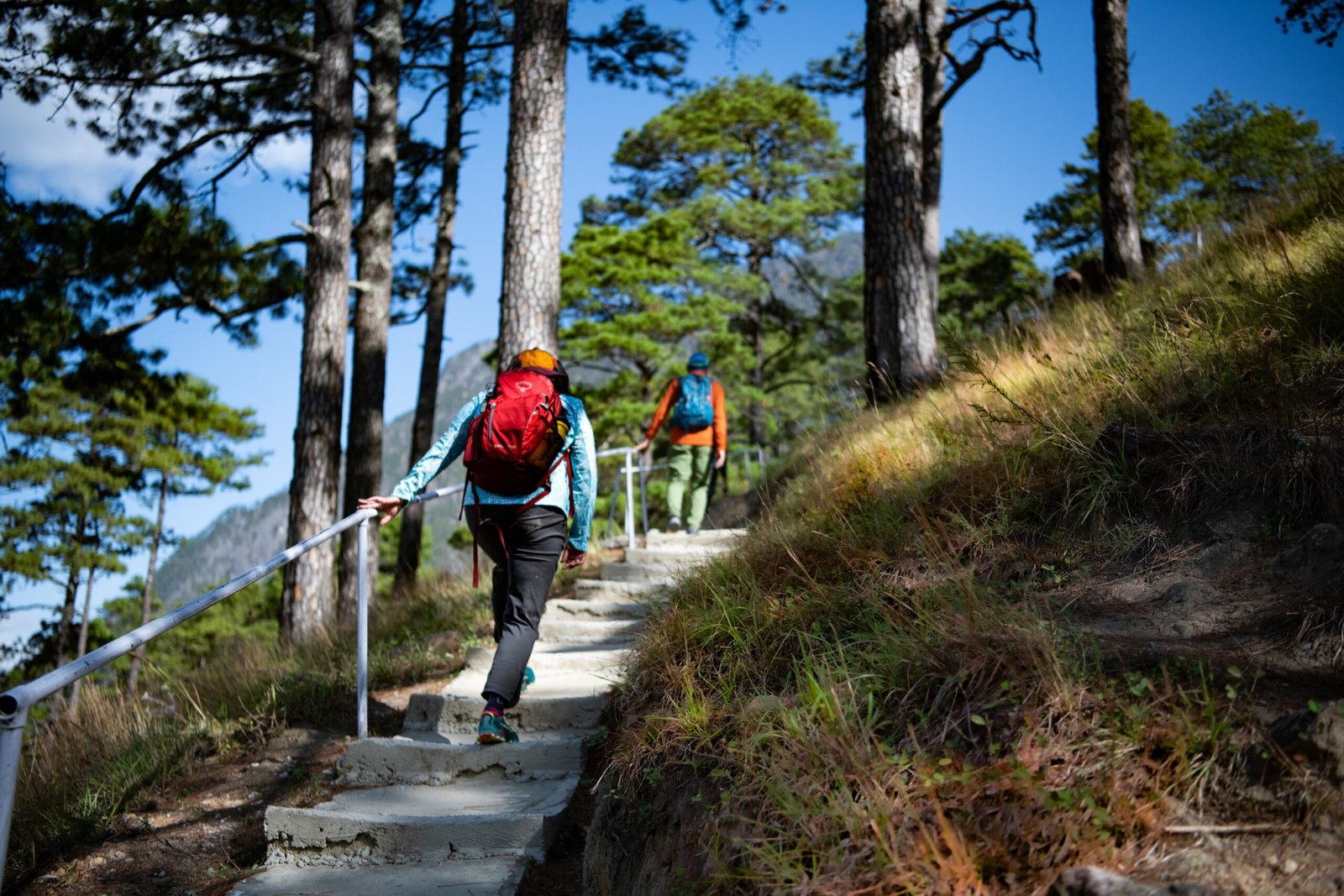 sunrise festival dong6